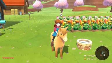Harvest Moon: The Winds of Anthos Trainer Screenshot 1